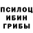 Псилоцибиновые грибы MAGIC MUSHROOMS _hsirePnehT resoL_
