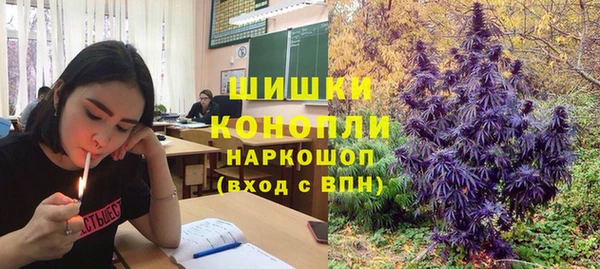 крисы Нягань