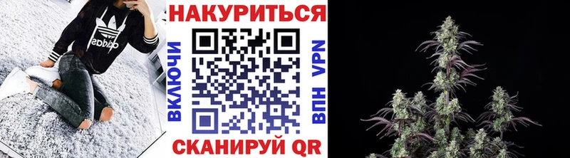 Шишки марихуана план что такое наркотик Тарко-Сале
